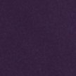 MIDNIGHT PLUM