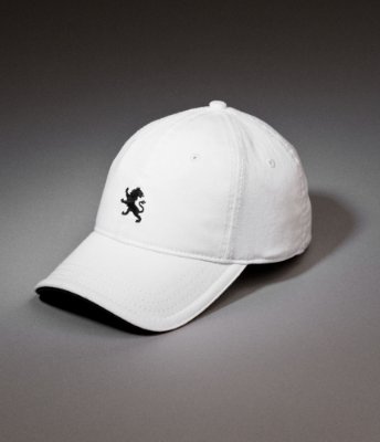 FITTED SMALL LION BASEBALL CAP