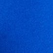 BIONIC BLUE