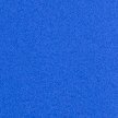 BIONIC BLUE