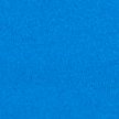BLUEBIRD