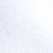 TRUE WHITE