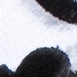 BLACK PRINT