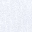 TRUE WHITE