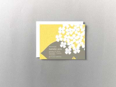 Bloom: Birth Announcement