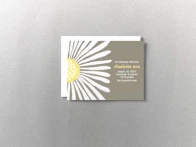 Daisy: Birth Announcement