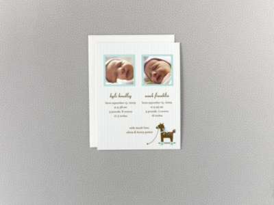 Horsie: Twin Birth Announcement