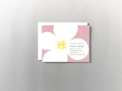 Magnolia: Birth Announcement