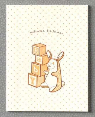 Bunny and Blocks