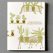 Houseplants: HL-664