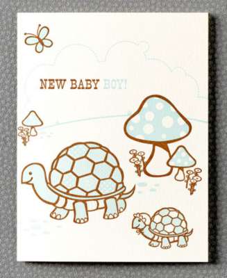 Baby Boy Turtle