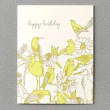 Tropical Birds: HL-691