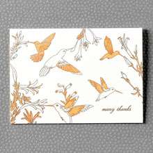 Hummingbirds: HL-695