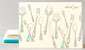 Silverware - Set of 6---HL-697s