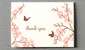 Orchids---HL-741