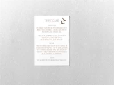 Seagulls---Letterpress Details Card