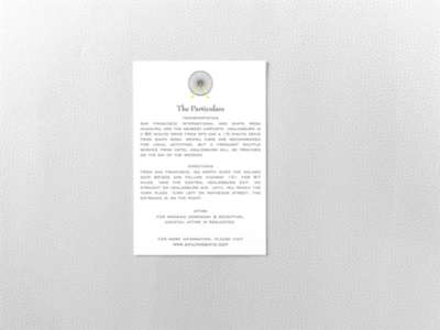 Visit Chicago---Letterpress Details Card