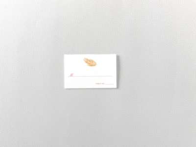 Feathers: Place Card
