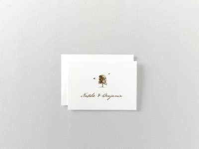Naturalist: Letterpress Folded Note Card