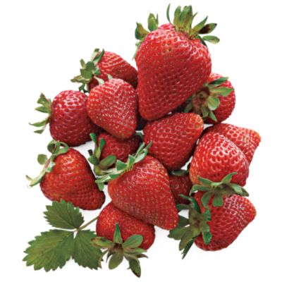 9-Month Fruit Club Gifts on Parade (Begins May)
