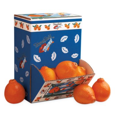 HoneyBell Kisses&reg; Counter Pack