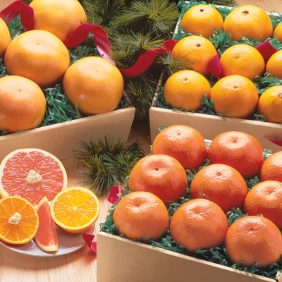 The Triple Decker Fresh Fruit Gift (24 lbs.)