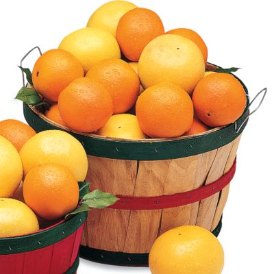 Orange Grove Basket