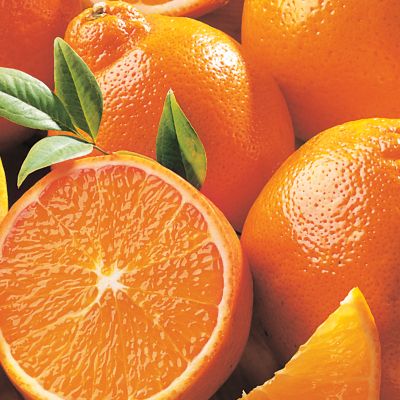 Cushman's® Humble HoneyBells (8 lbs.)