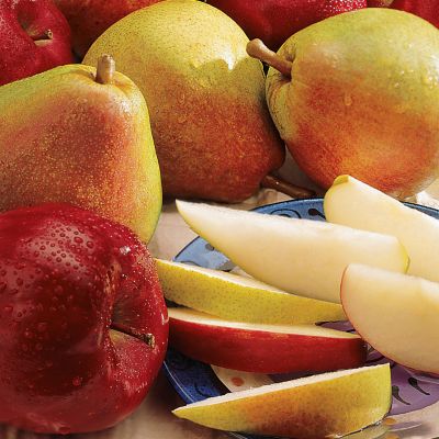Super-Duper Apples and Pears Combo
