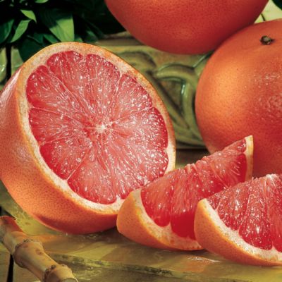 12-Month Fruit Club Gifts on Parade (Begins March)