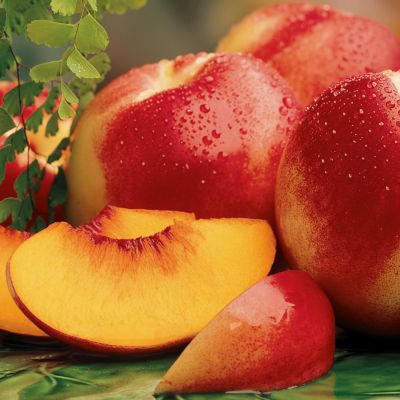 12-Month Fruit Club Gifts on Parade (Begins September)