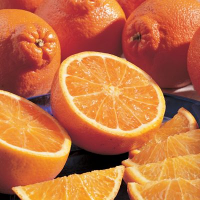 HoneyBells (9 lbs.) - 2011 Delivery