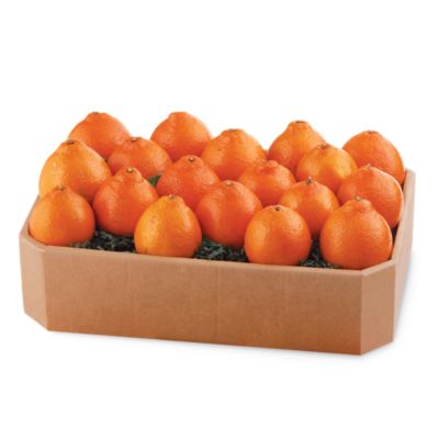 HoneyBells Large Sampler