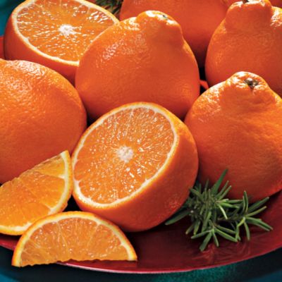 HoneyBells (27 lbs.) - 2011 Delivery