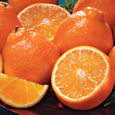HoneyBells (36 lbs.) - 2011 Delivery