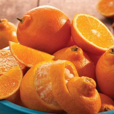 HoneyBells (5 lbs.) - 2011 Delivery