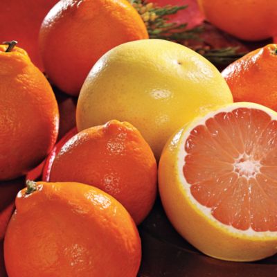 HoneyBells and Ruby Red Grapefruit (13 lbs.) - 2011 Delivery