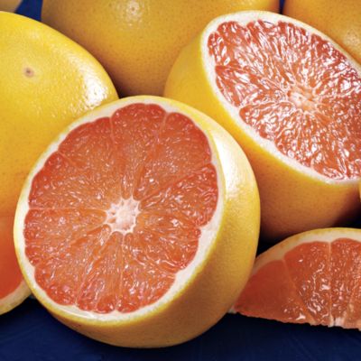 Ruby Red Grapefruit Lite Size Sampler