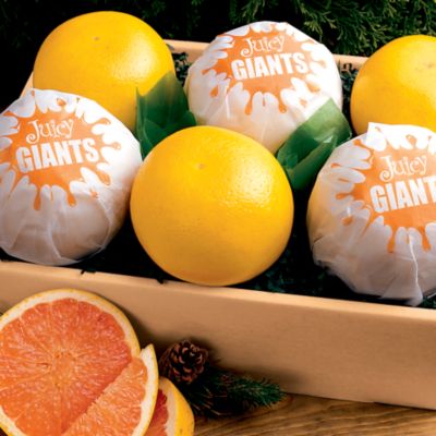 Giant Grapefruit! (18 lbs.)