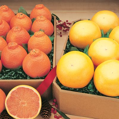 Giant HoneyBells and Giant Grapefruit (18 lbs.)