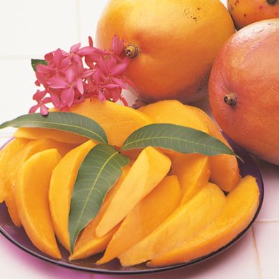 Star Mangoes (6 lbs.)