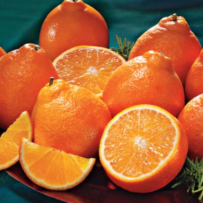 Cushman's® HoneyBells Care Packages (48-Count) - 2011 Delivery