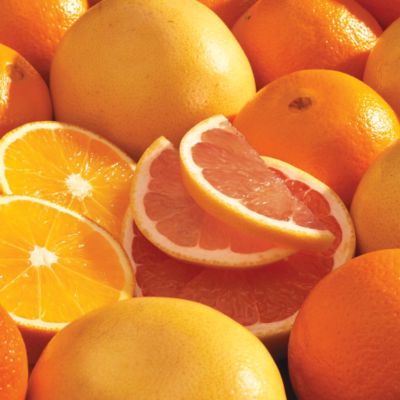 Key Biscayne Small Family Size, gourmet fruit, fruit holiday gift, organic fruit gift, gourmet fruit gift, fresh fruit gift