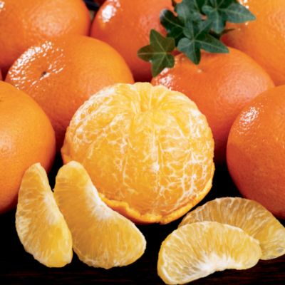 Temple Oranges (11 lbs.)