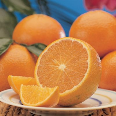Royal Tandora® Citrus (18 lbs.)