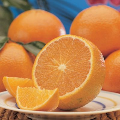 Royal Tandora® Citrus (5 lbs.)