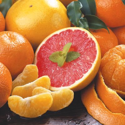 Valencia Oranges & Ruby Red Grapefruit (9 lbs.)