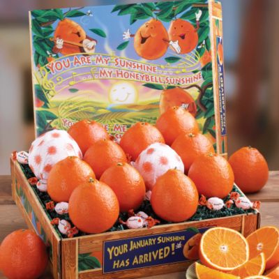Musical Box of Honeybells (7 lbs.)
