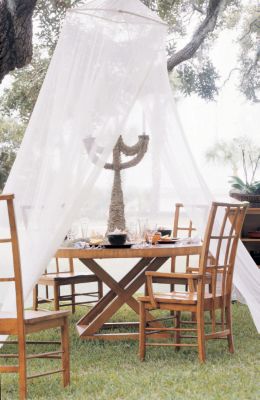 Dining Room Furniture / National Geographic - Tropic Winds Collection