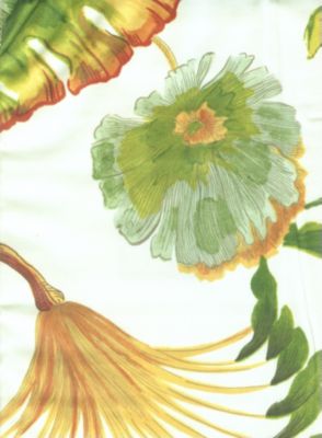 Isola Coconut 003